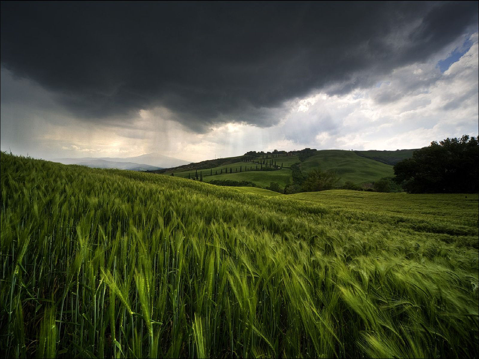 Nature (58).jpg